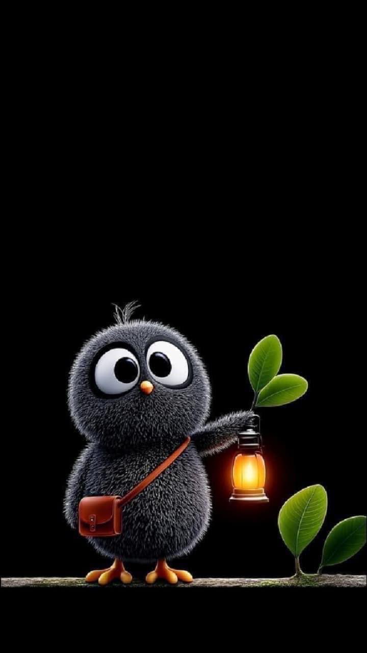 Image of Mr.me