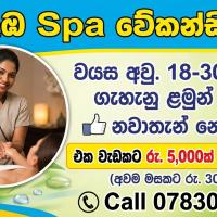 Image of කොළඹ SPA JOB VACANCY  💆‍♀️ listing image