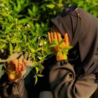 Image of Live cam muslim girl listing image